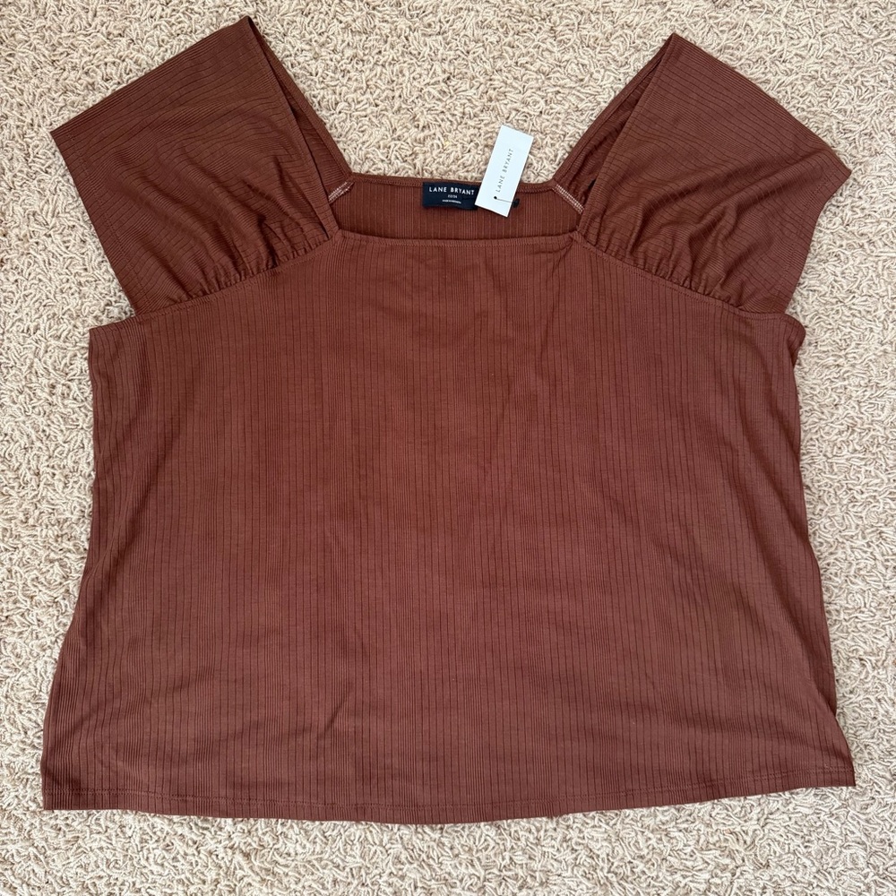 NWT Lane Bryant 22 24 Brown Cap Sleeve Top Very Soft and Pretty